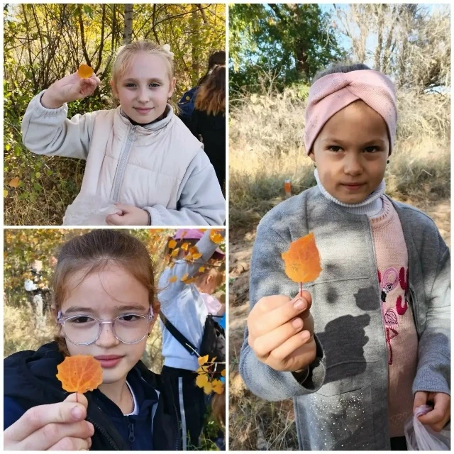Урок в осеннем лесу🍁