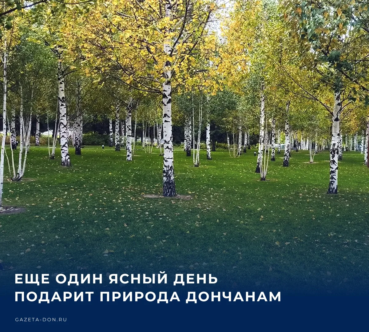 🌤️ 12 октября в нашем городе по прогнозам будет ясная погода, осадков не ожидается. Во...