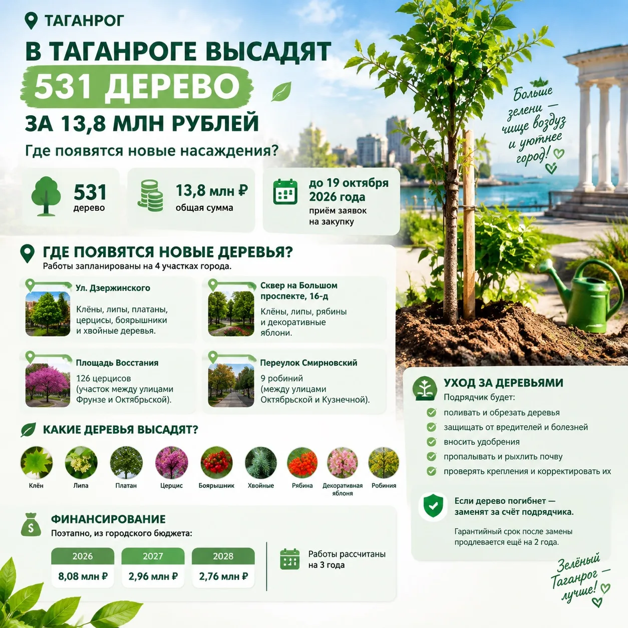В Таганроге высадят 531 дерево за 13,8 миллионов рублей.
