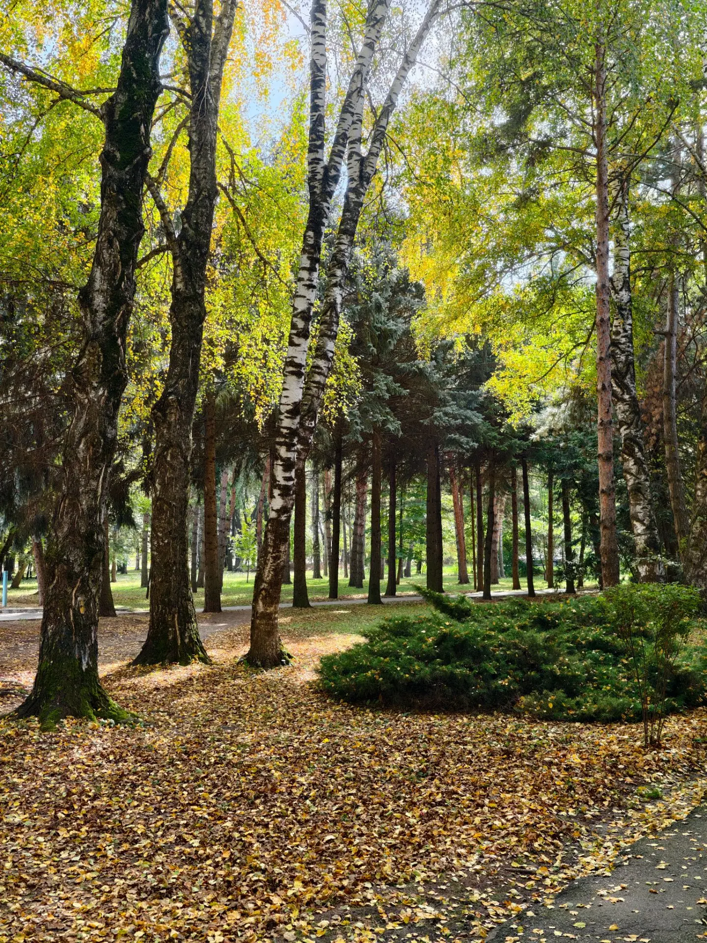 Октябрь в Михайловске. Какая красота 🤩