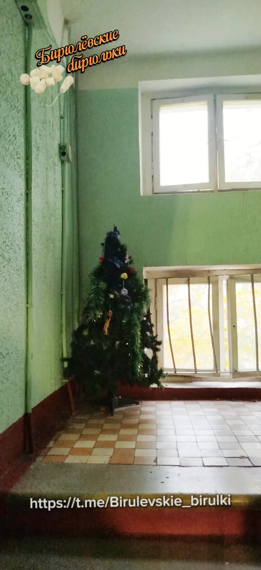 #Стопкадр 🎞️