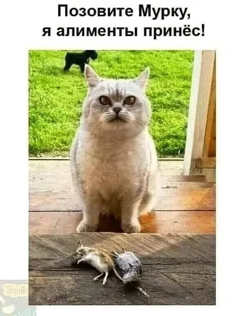👉Ой, всё! Подписаться