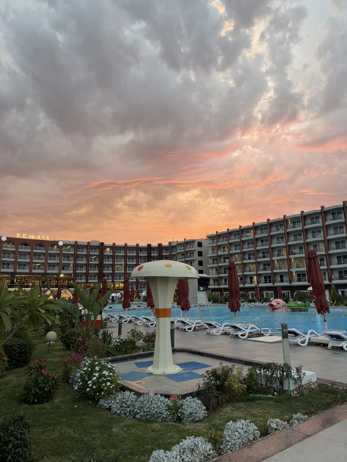 Делюсь с вами частичкой египетских закатов 🌅