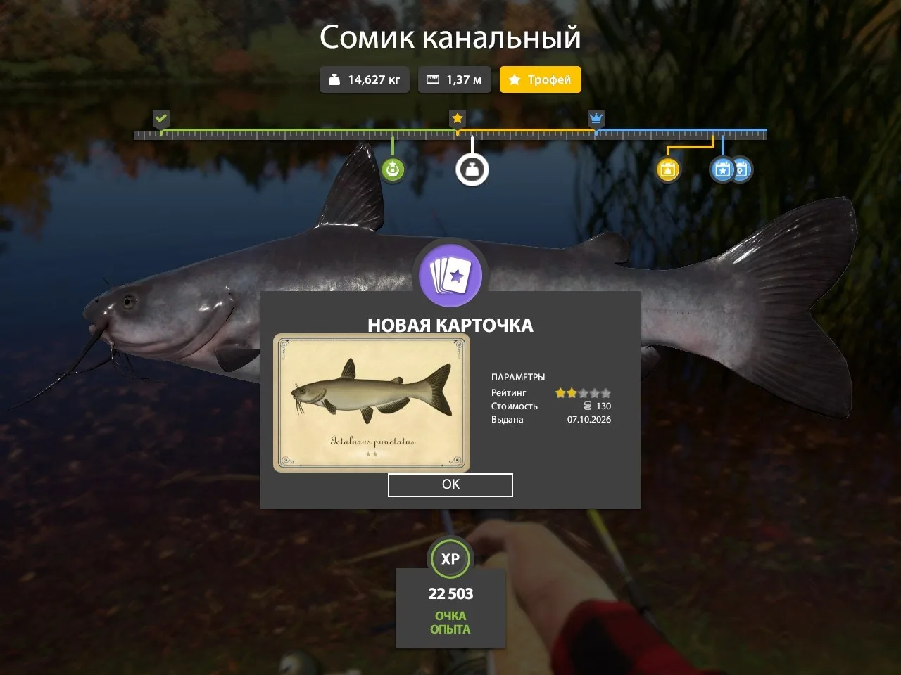#лосиное