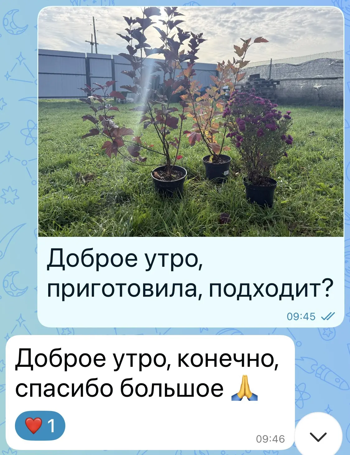 ⭐️КАК питомник собирает заказ?