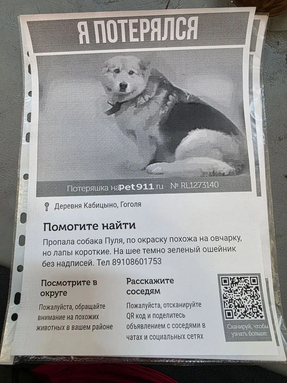 ПОМОГИТЕ ВЕРНУТЬ ПУЛЮ ДОМОЙ!