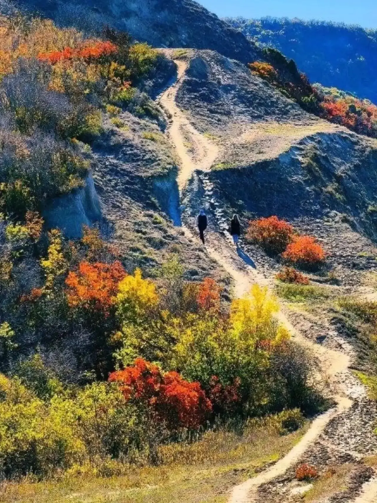В горах Анапы яркие краски осени!