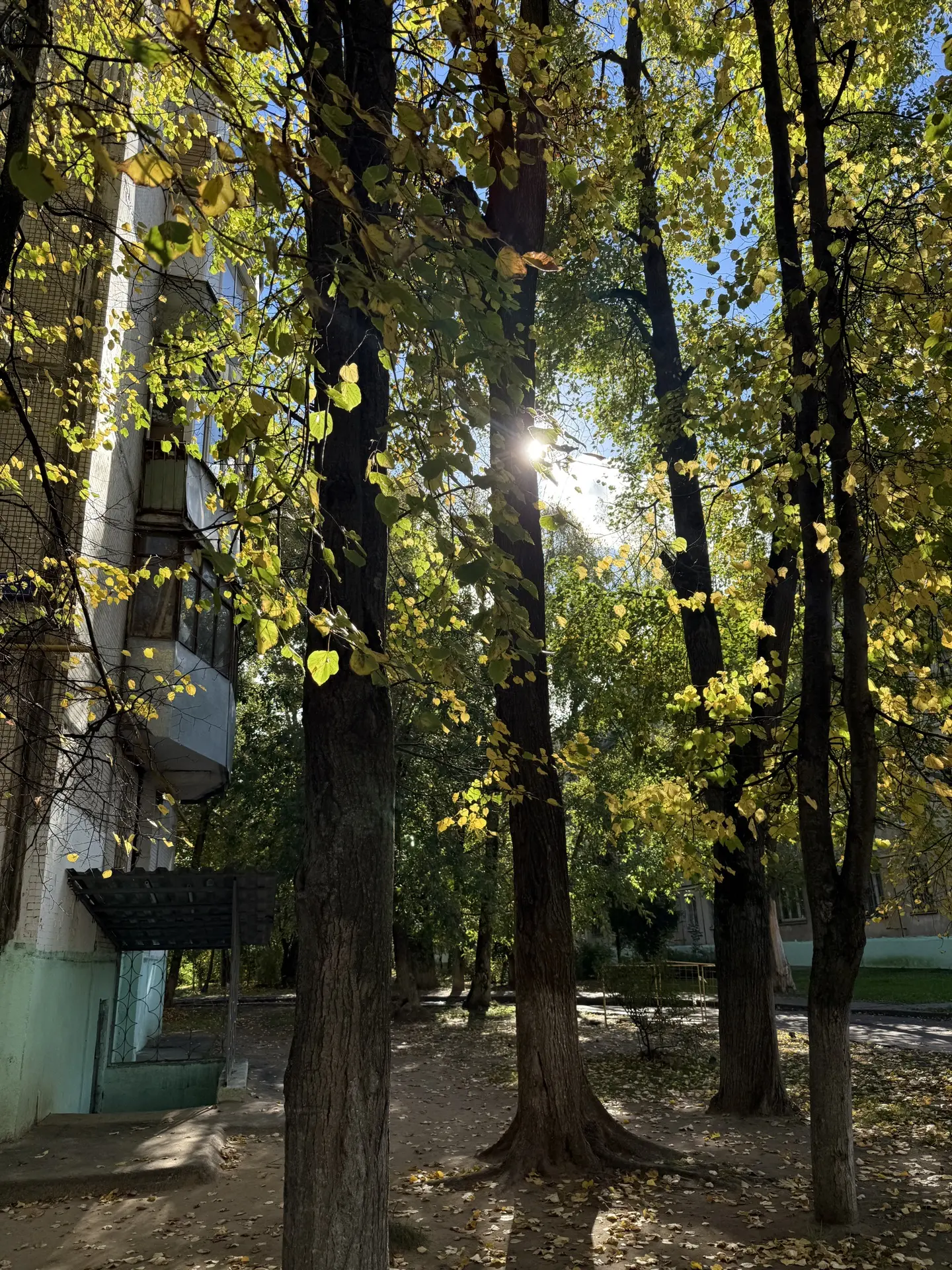 📍Мкр. Южный 🏡🍂🍁