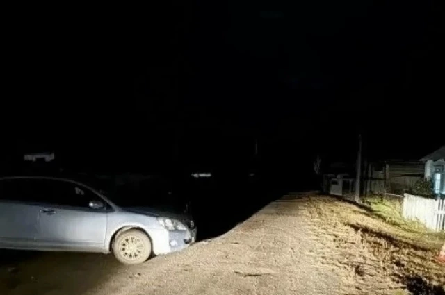 ❗️В Бурятии женщина-водитель насмерть задавила мать, открывавшую ей ворота