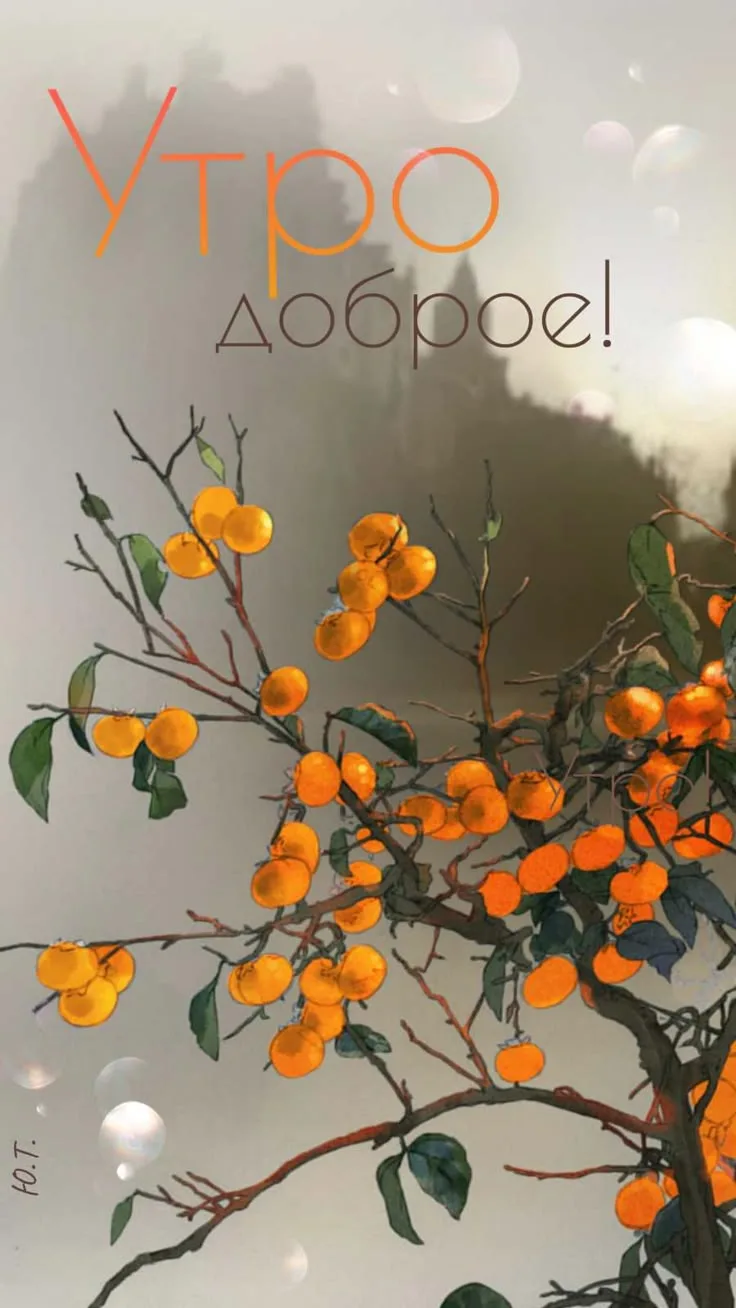 Доброе утро ☺️