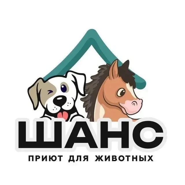 🐶 «Миска добра»: поможем тем, кто не может попросить сам! 🐶