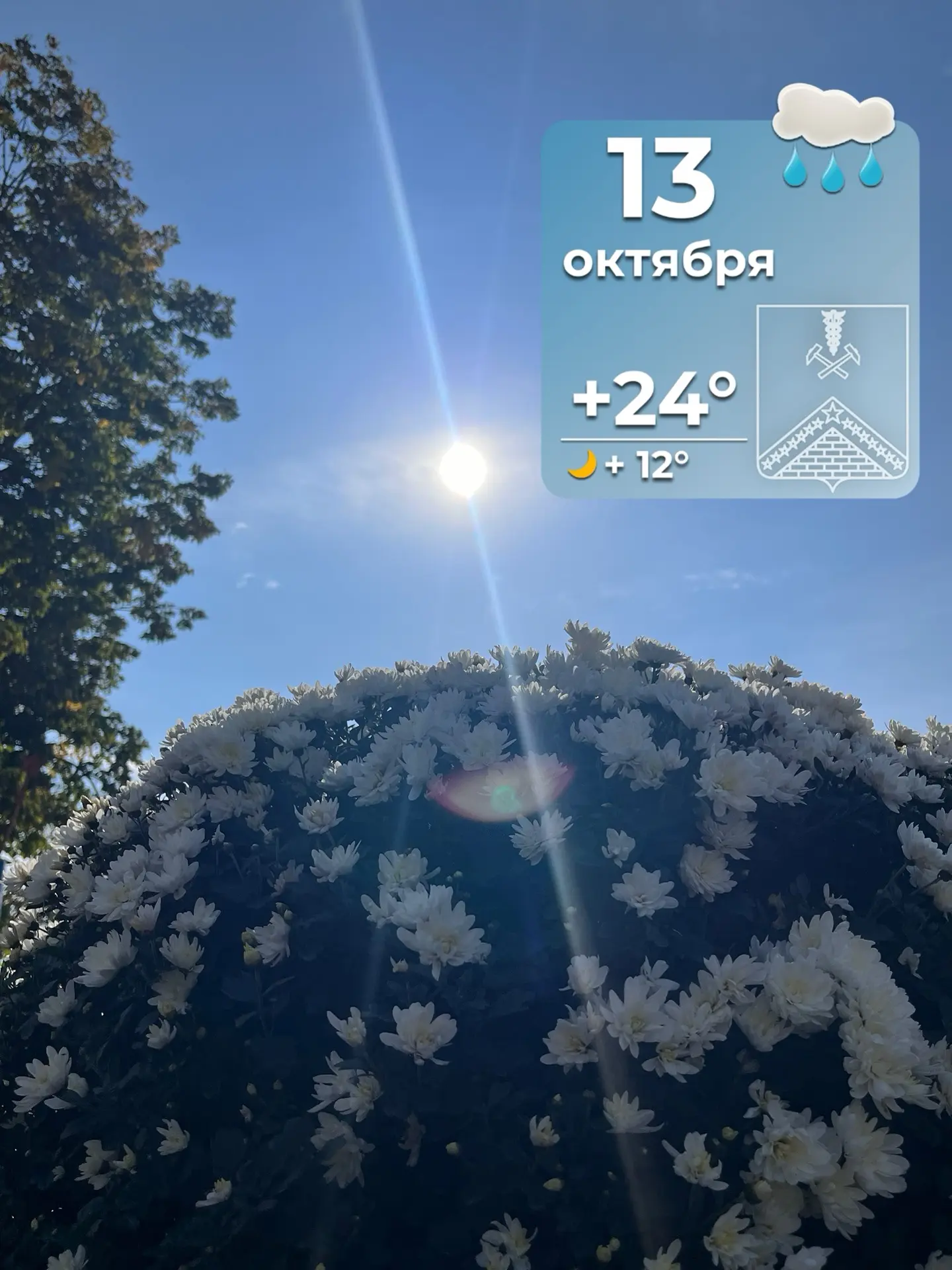 Доброе утро!✨