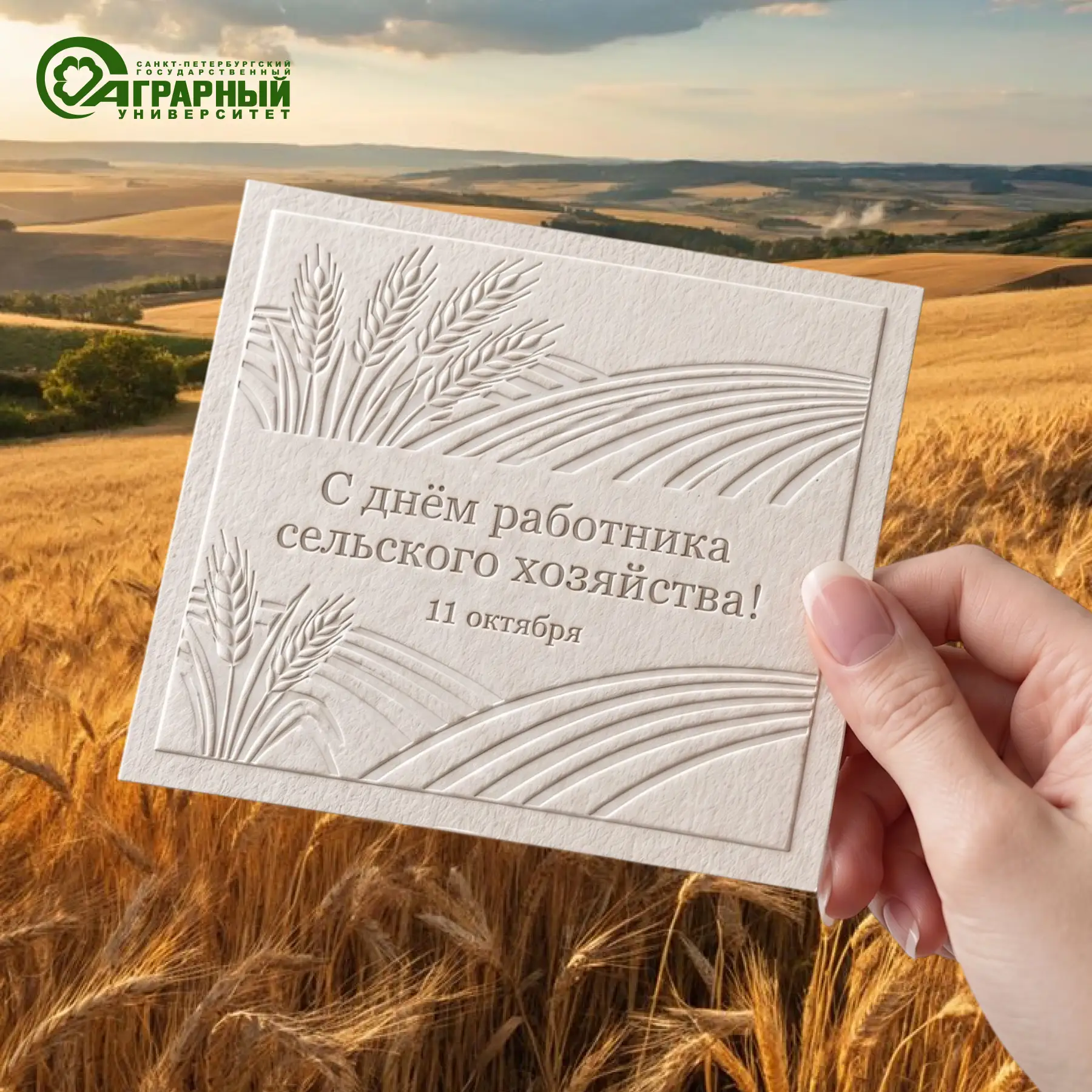 🌾 С Днем работника сельского хозяйства и перерабатывающей промышленности!