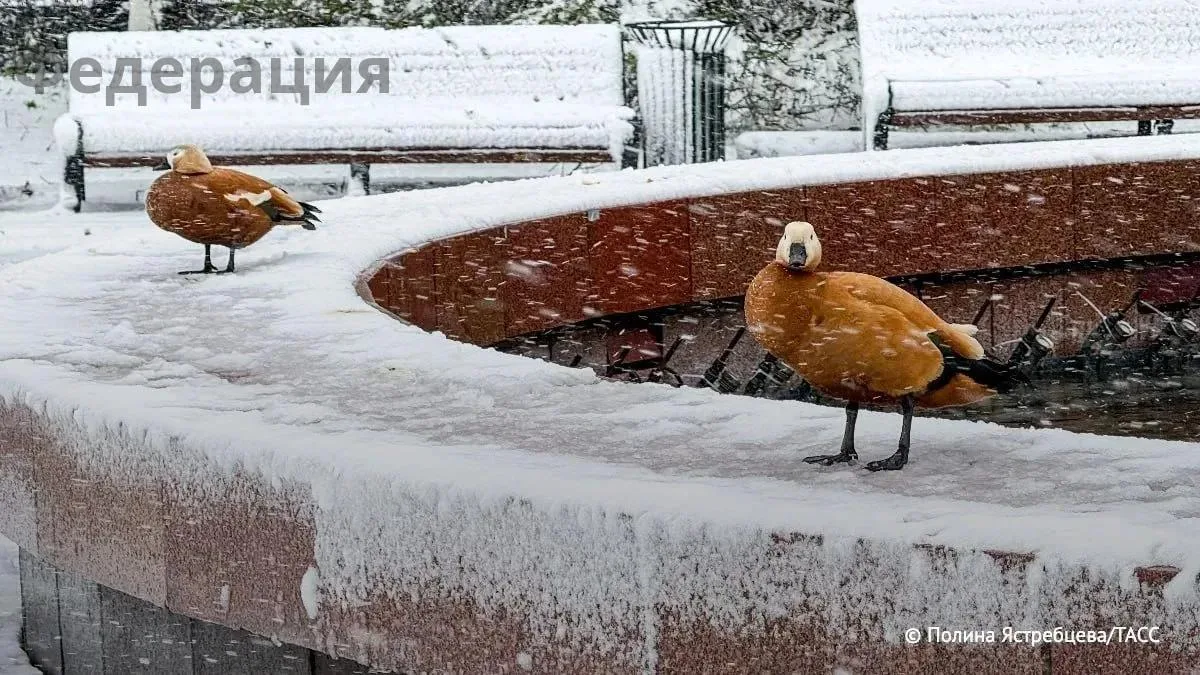 Снег в Москве, вероятно, выпадет позже средней вековой даты — 18 октября.