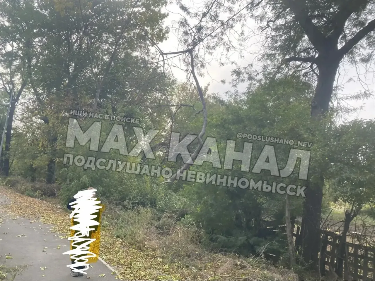 ⚡️Дорога на склад озон, ветка упала на провод.