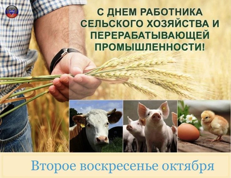 «С Днем сельского хозяйства! Земля — это не просто почва, это живой организм, который ч...