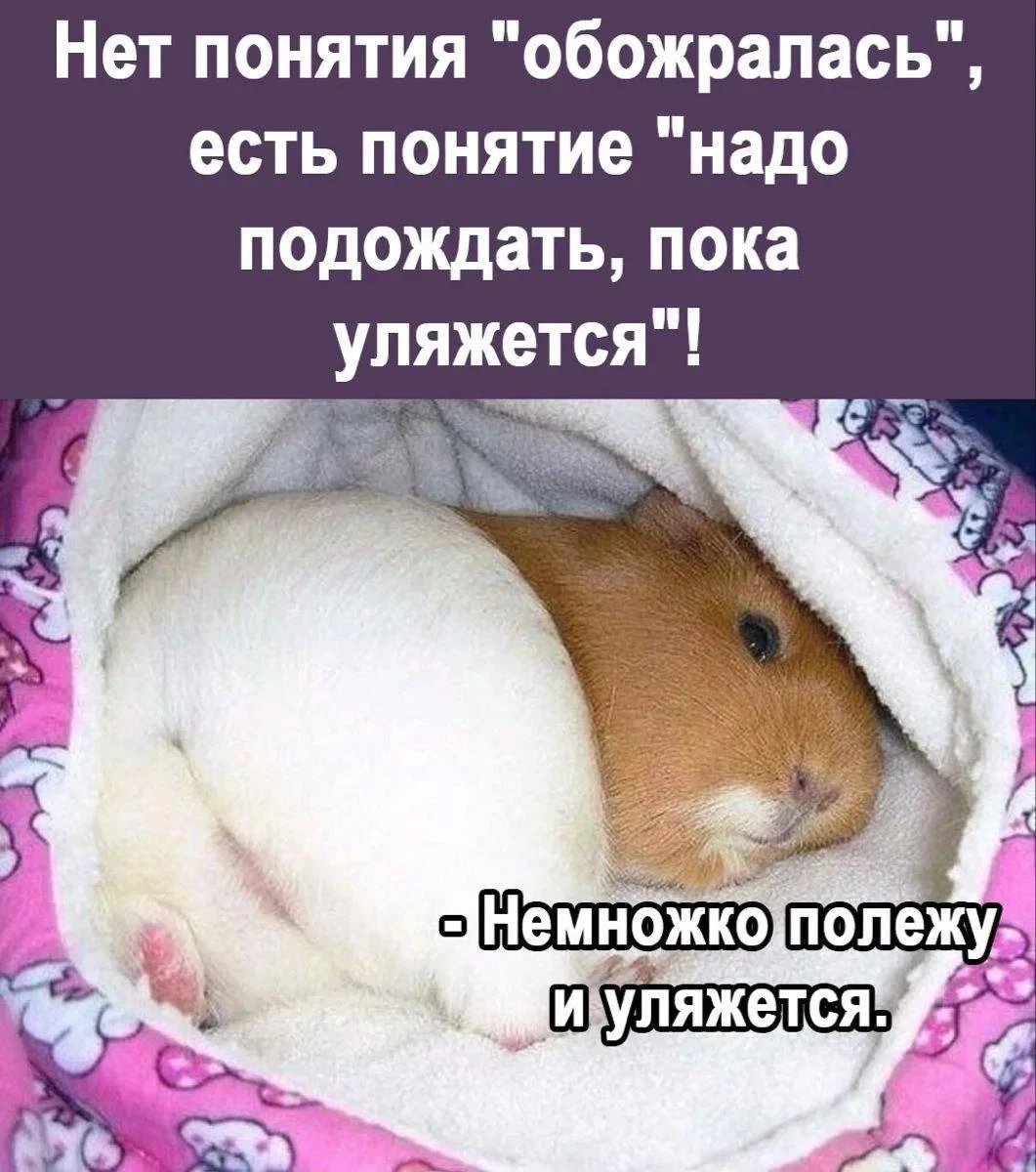 Подпишись 👉️ ВРЕДИНКА
