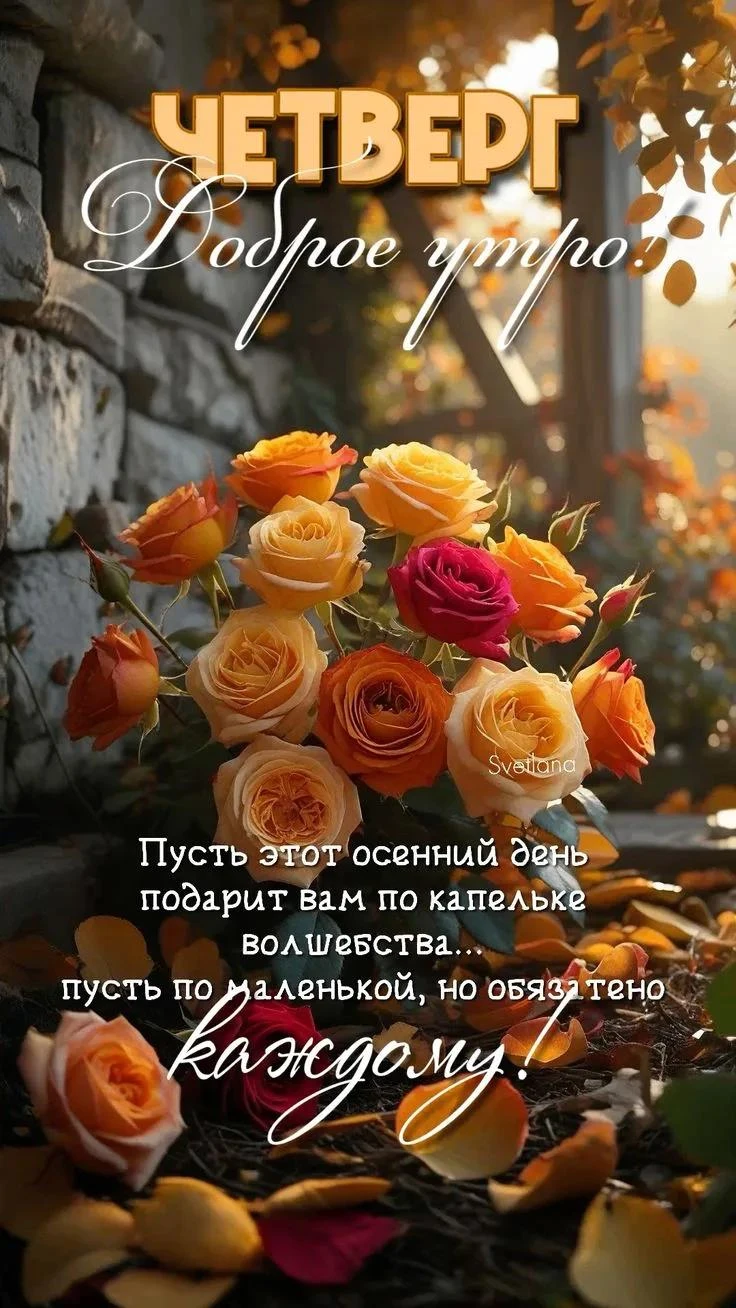 🥳 Веселья ЧАС - Присоединяйтесь