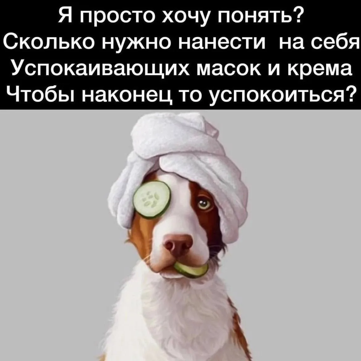 😅😂😂