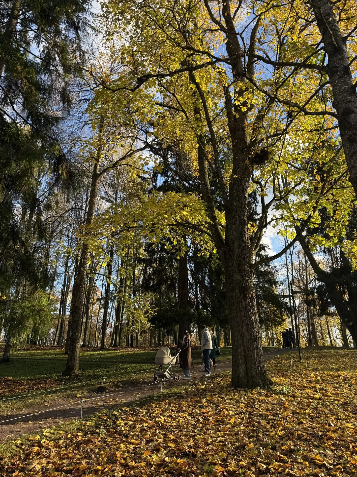 Погоду обещают солнечную на выходные ☀️