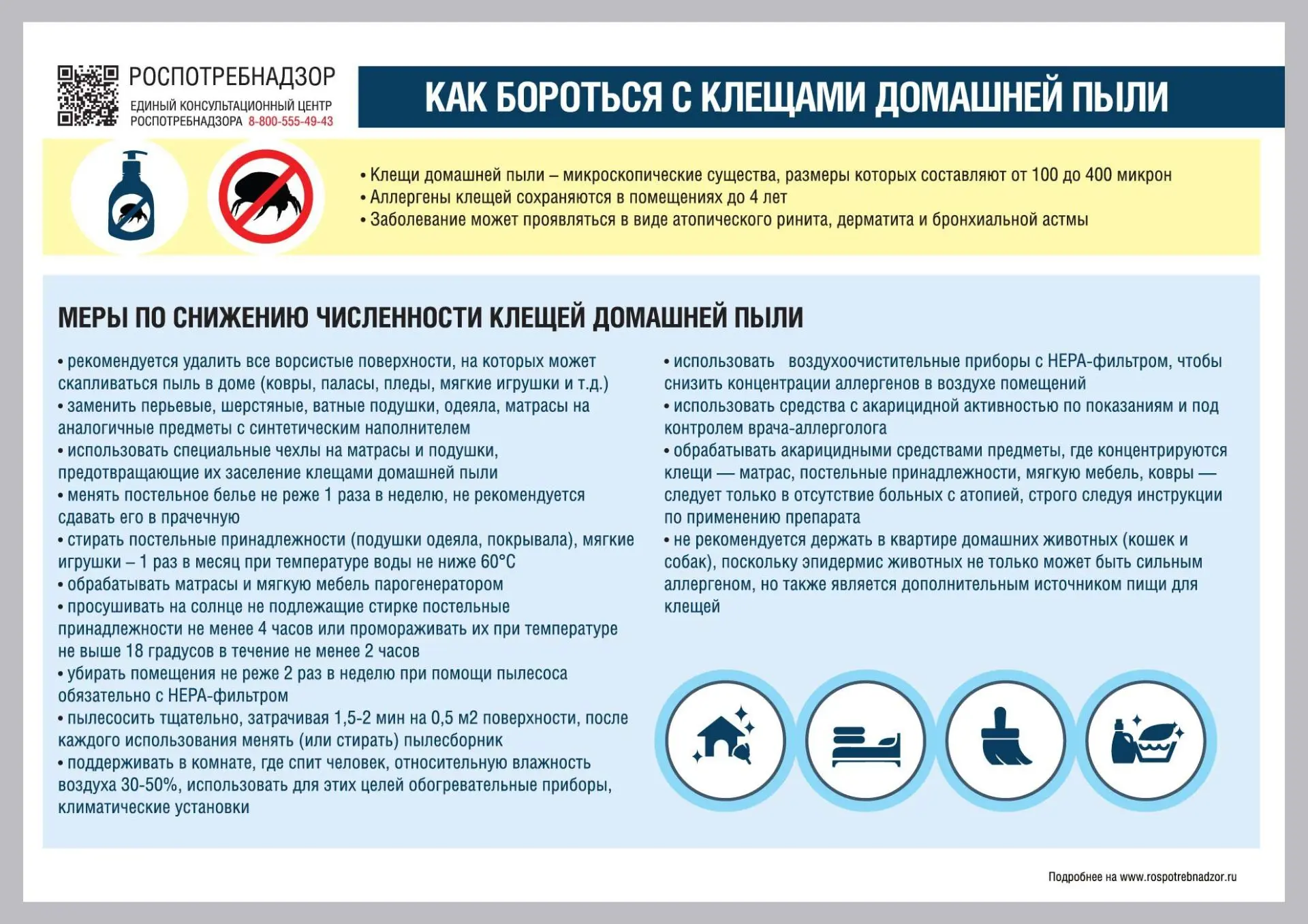 Пылевые клещи (Dermatophagoides) – род клещей, обитающих в жилищах людей. Для человека ...