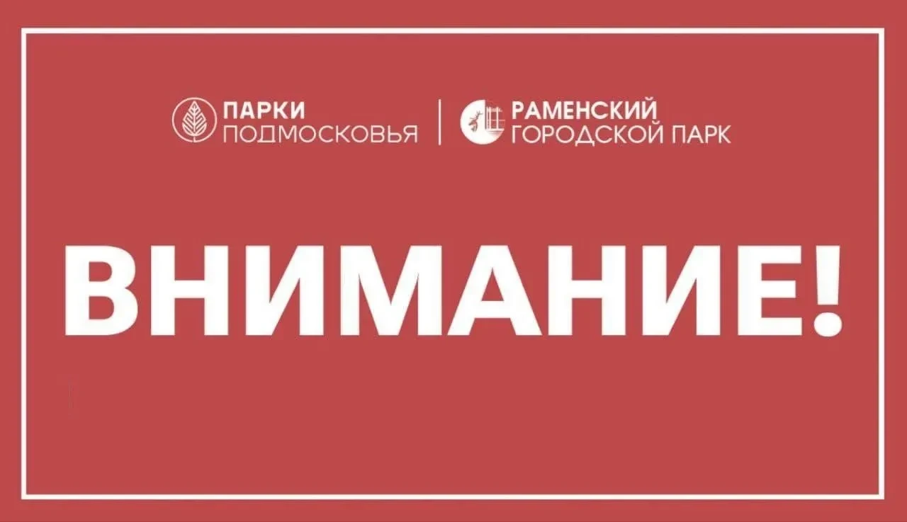 Уважаемые посетители❗