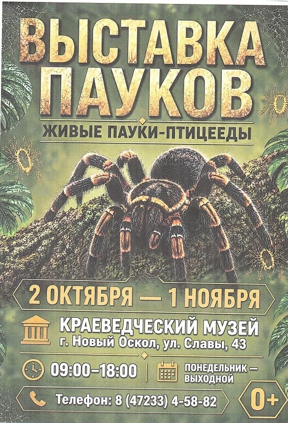 Приходите всей семьёй и откройте для себя мир, полный загадок, ярких красок и удивитель...