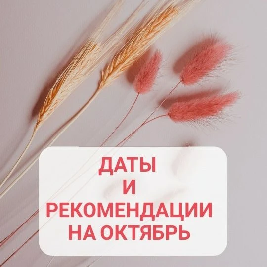 ☀РЕКОМЕНДАЦИИ