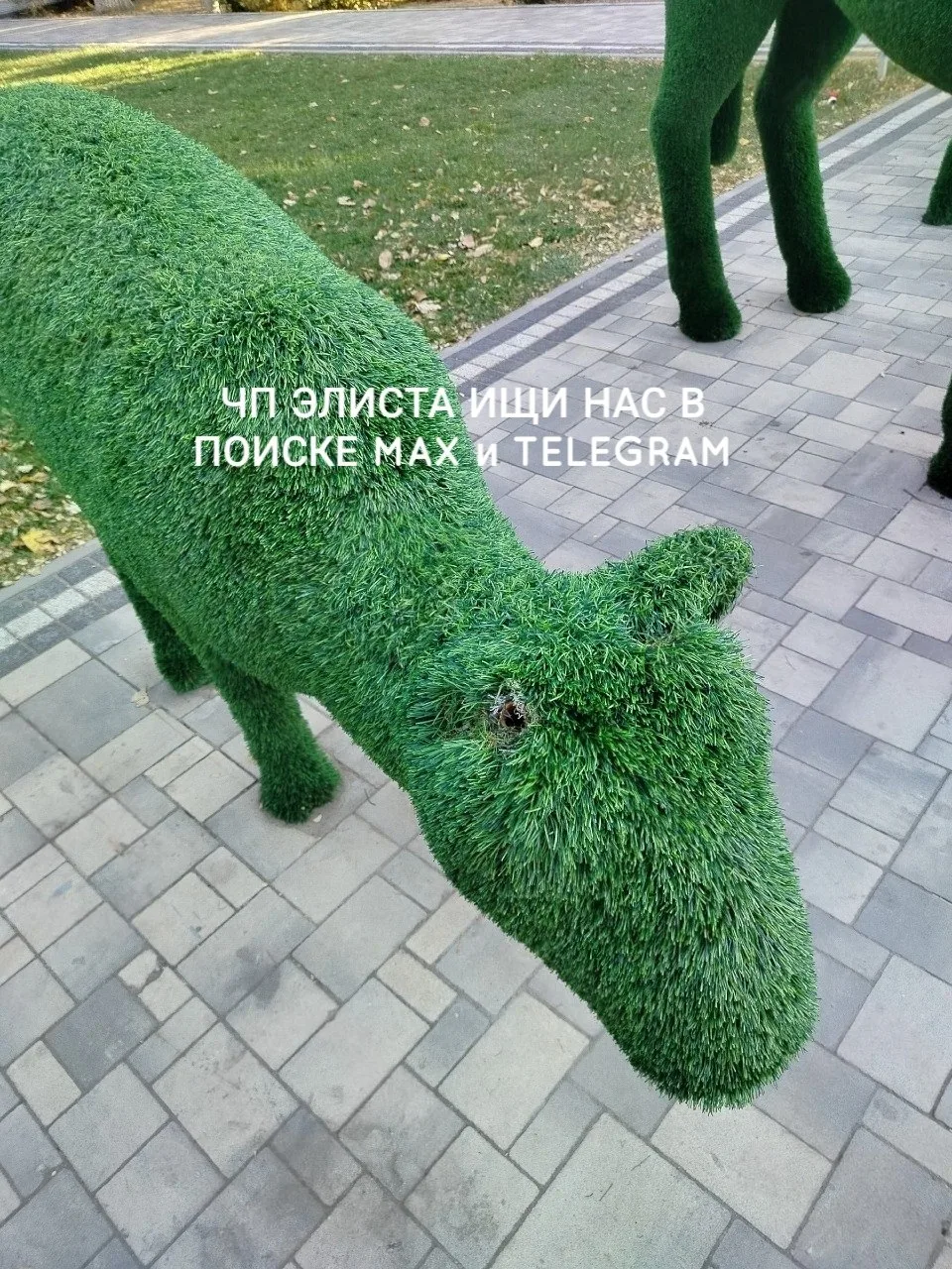 В парке Элисты вандалы оторвали ухо у декоративной лошади. О произошедшем сообщили очев...