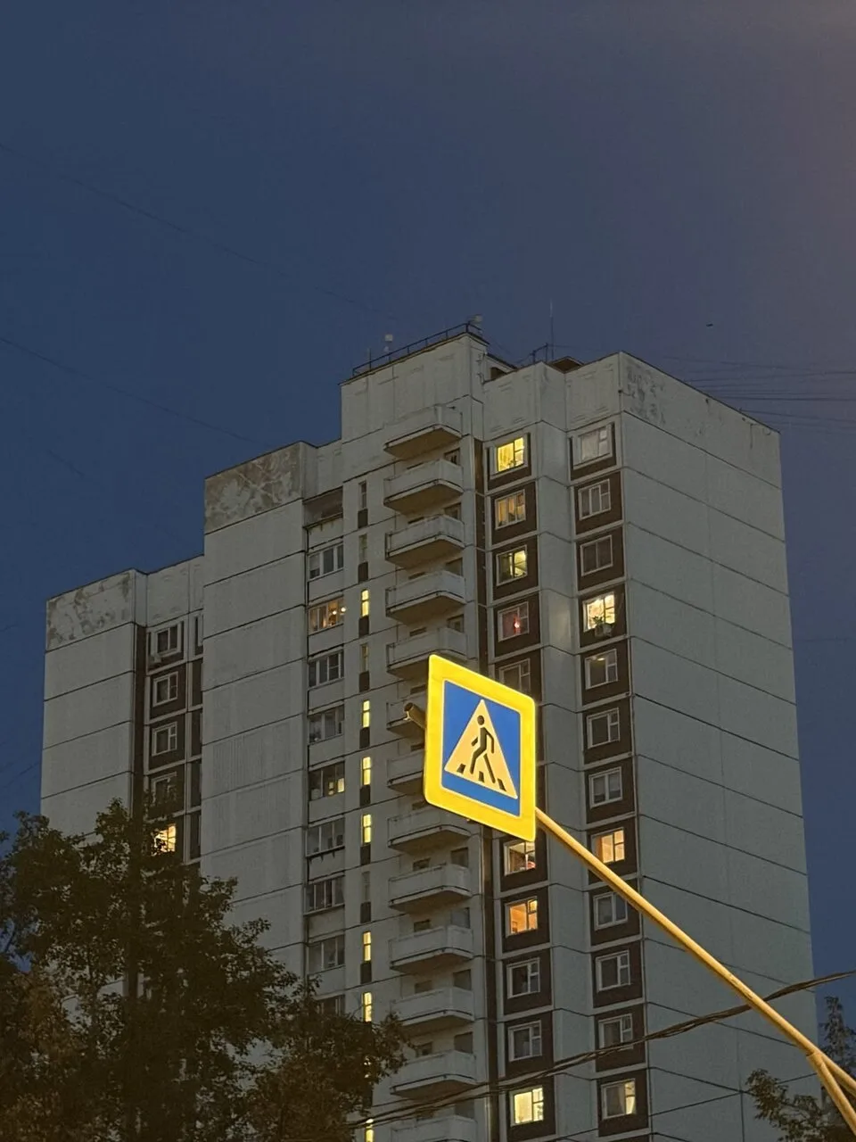 Депутат взял на контроль безопасность пешеходов на улице Краснознамённой в Воронеже