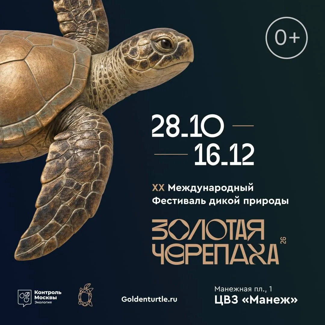 🐢 400 потрясающих фотографий дикой природы покажут в Манеже!