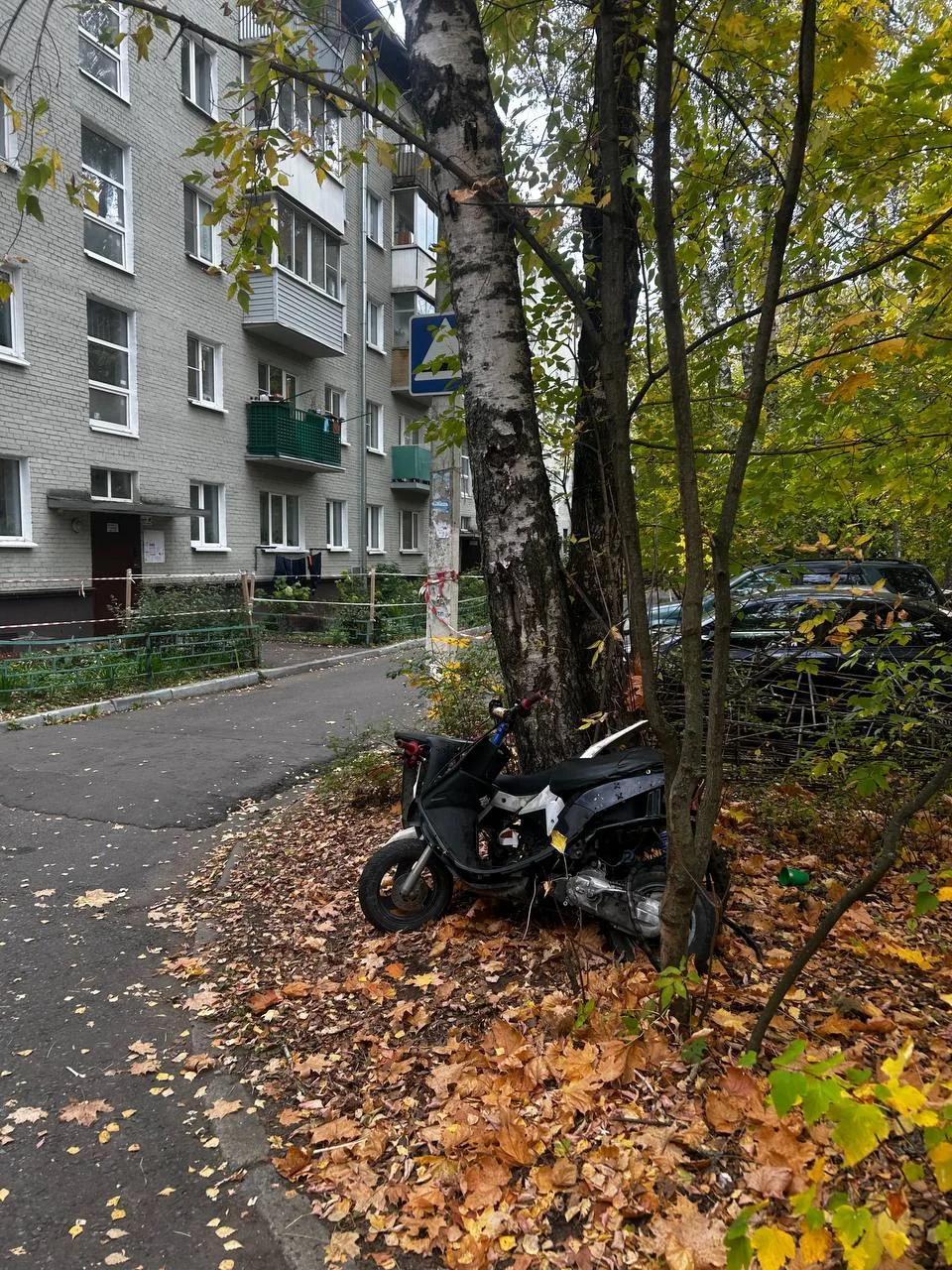 Причина бессоных летних ночей найдена😃📩 Пост из предложки