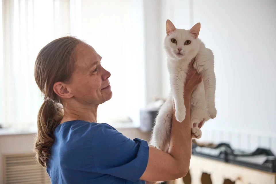 🐾 Успейте сказать спасибо: остались считанные дни, чтобы выбрать лучшую ветеринарную к...