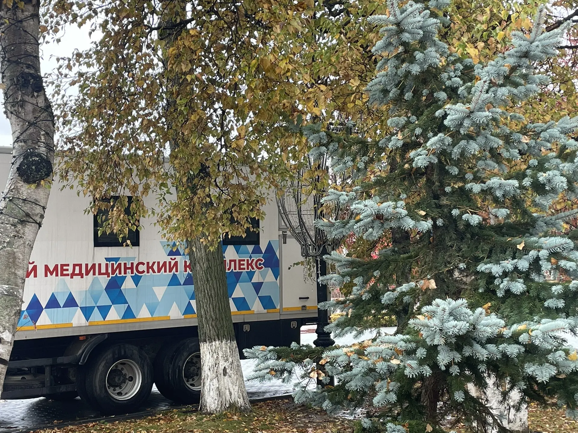70 тысяч сахалинцев и курильчан уже привились от гриппа