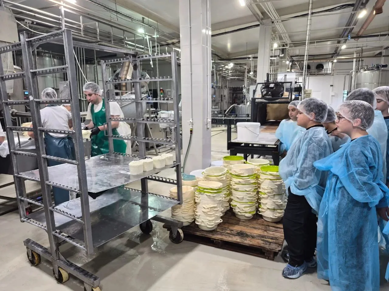 🥛От фермы до прилавка: шестиклассники Моздока увидели, как создается натуральная молоч...