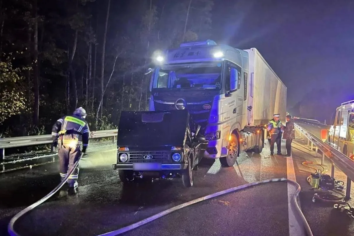 🚗 На трассе М-5 «Урал» по пути в сторону Рязани водитель «Нивы» погиб в ДТП с грузовиком.