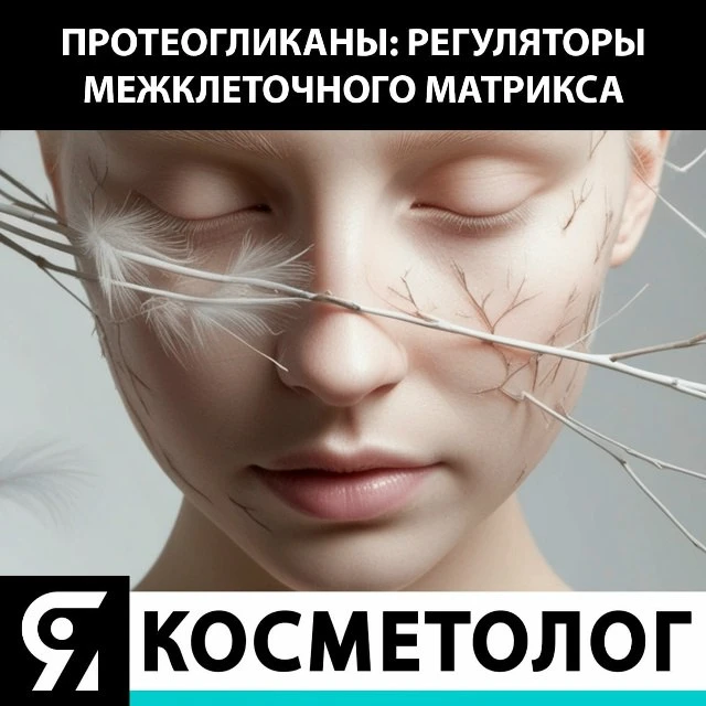 Протеогликаны: ключевые регуляторы межклеточного матрикса