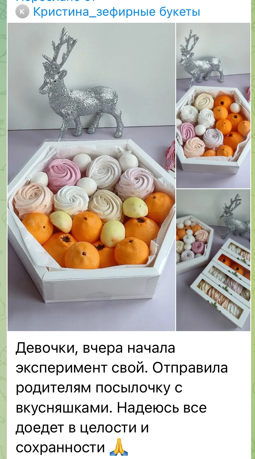 Зефирные шишки тоже будут в новогоднем модуле PRO ЗЕФИР!