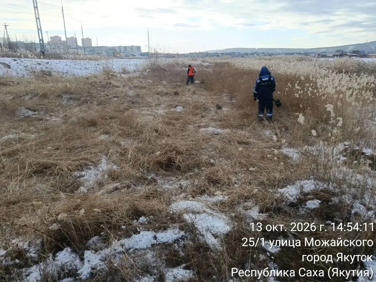 Мэр Якутска начал борьбу с камышами у городских озер. Первым подключился Гагаринский округ
