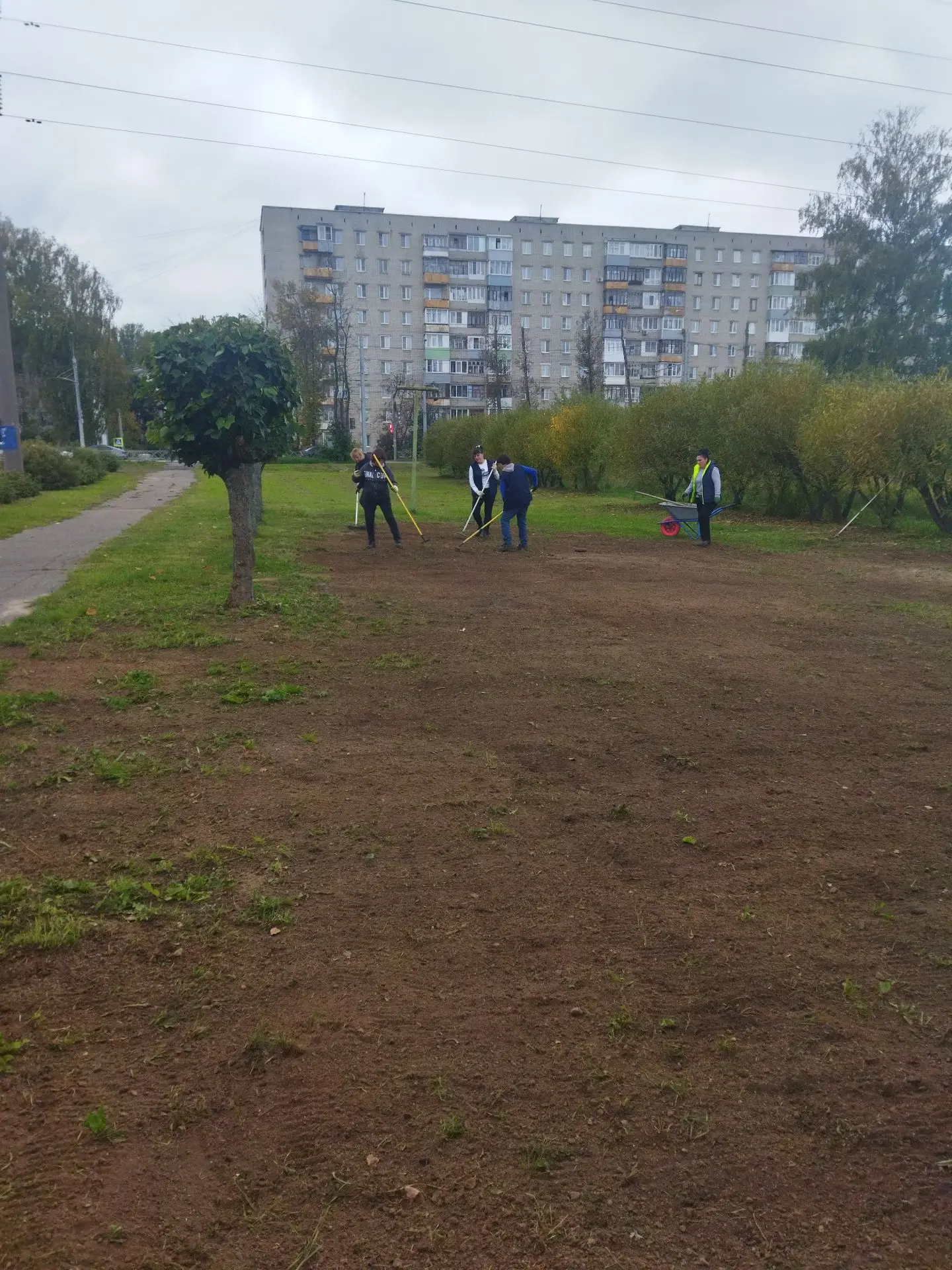 🌱 Благоустройство газона на прилегающей территории СЗЗ Дзержинский район.