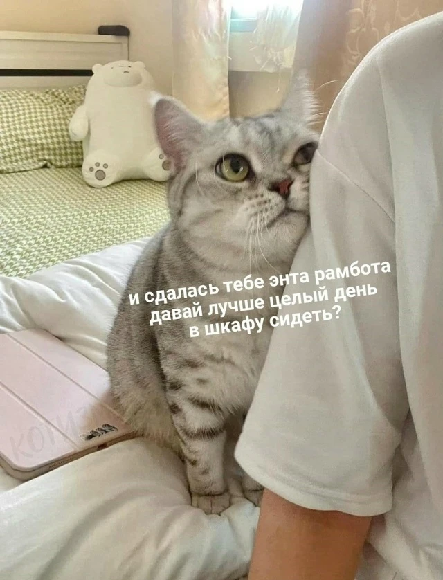 Может и да?