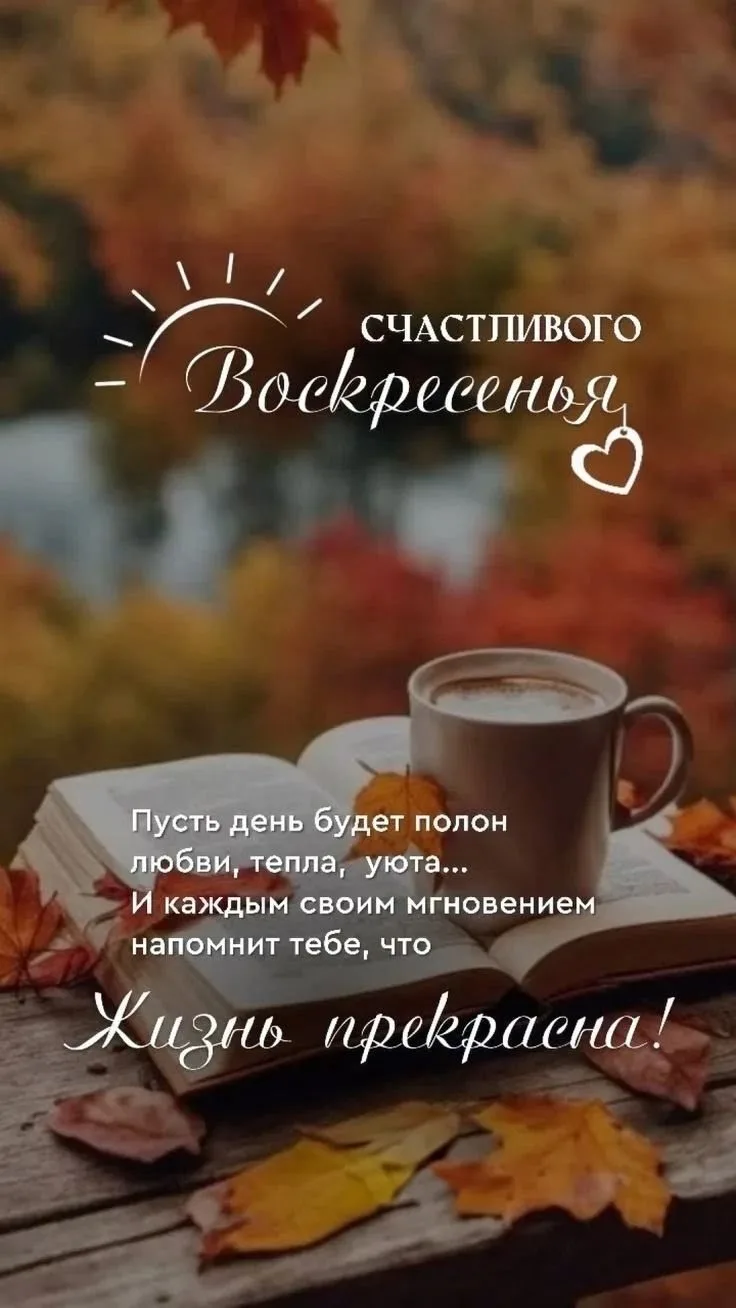Всем доброго прекрасного осеннего утра! ❤️