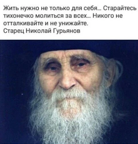 🌿🕊️🕯️