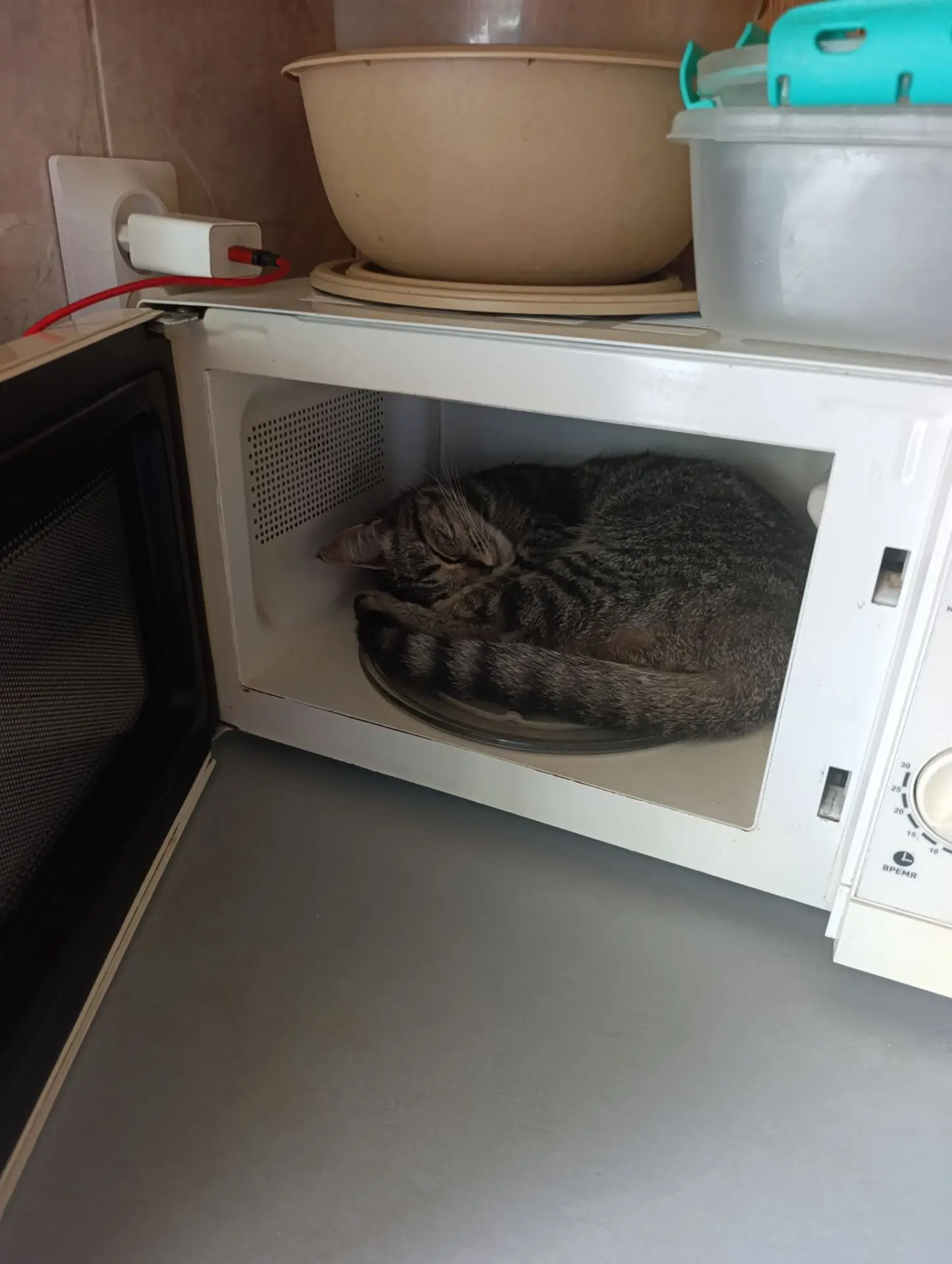 Ахахах, хотели пообедать? Котэ сказал, что не надо, а то растолстеете😁