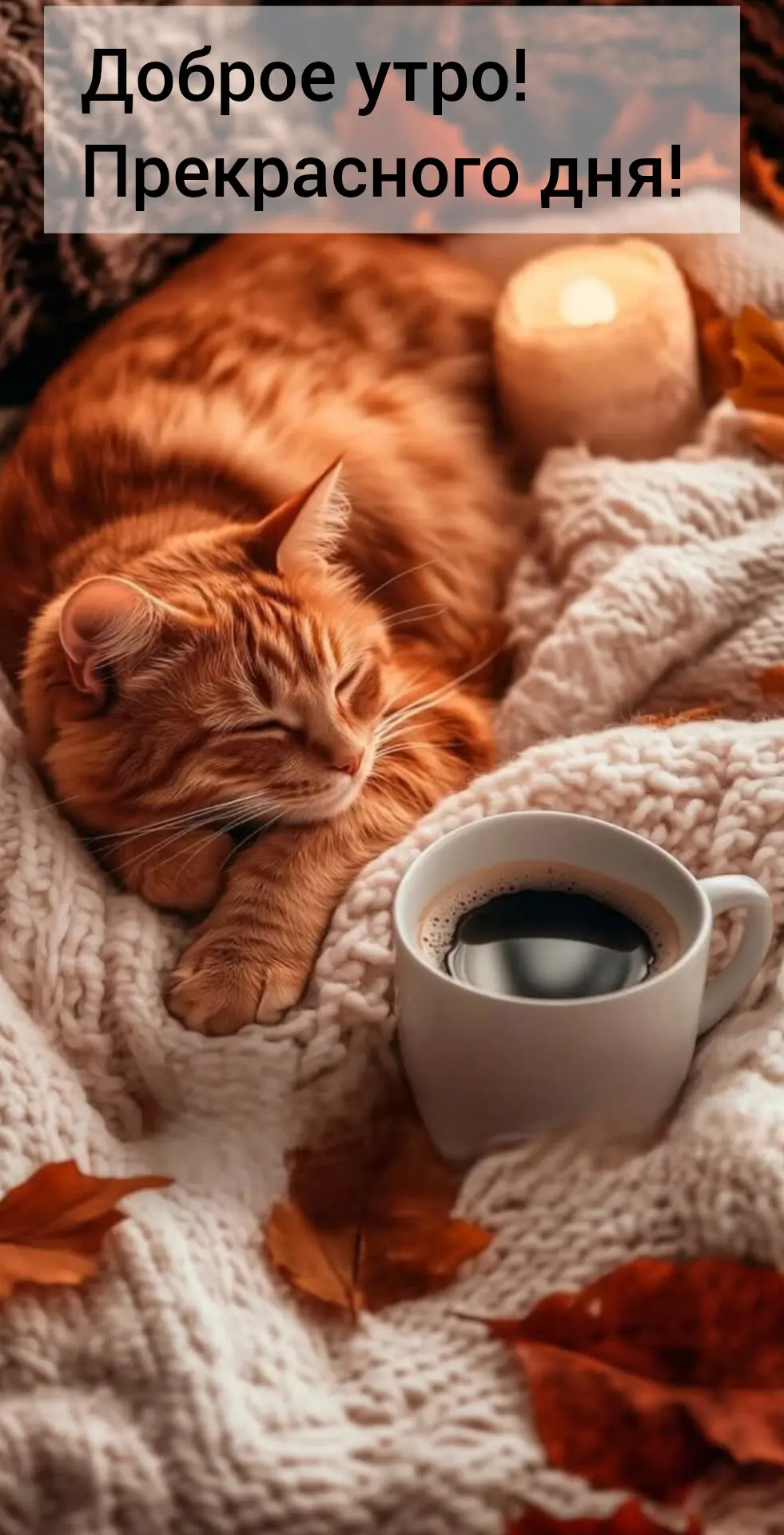 💞ЭСТЕТИЧНЫЕ ОТКРЫТКИ💞