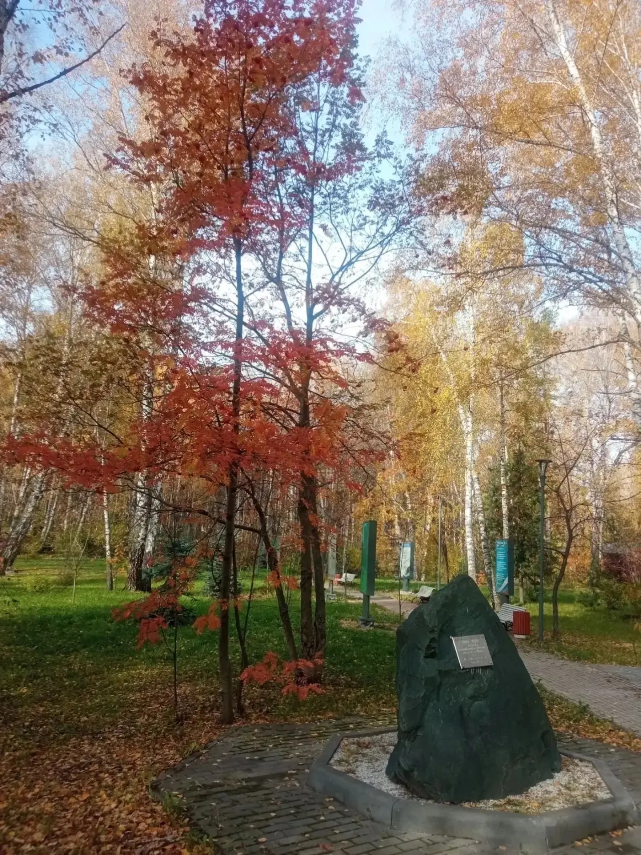 🍂 Осень в Кольцово — самое время пойти по знакомым тропинкам, шуршать листвой и дышать...
