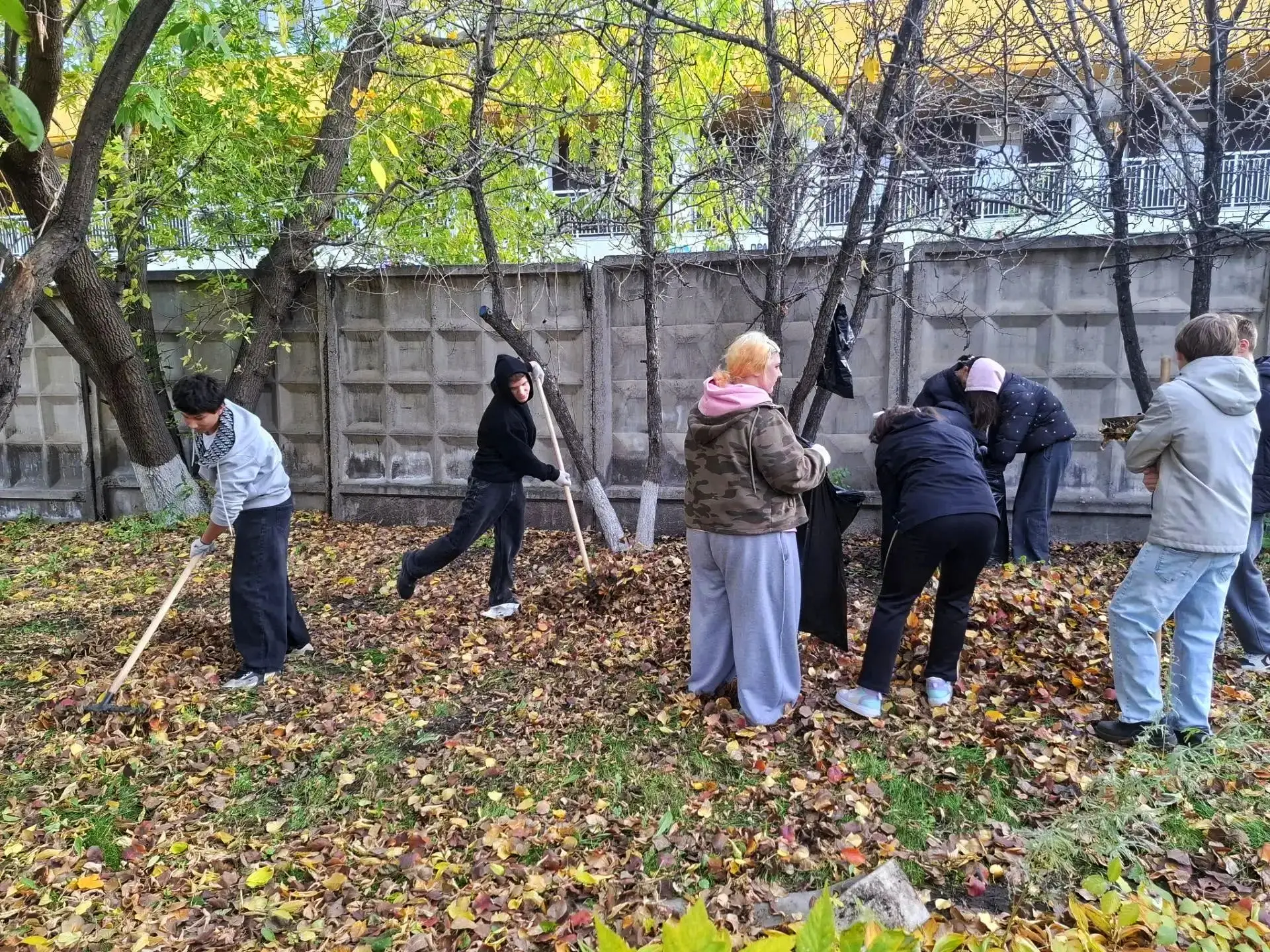 🍂 ОСЕННИЙ ЭКО-ДВИЖ: ЧИСТЫЙ ДВОР — СЧАСТЛИВЫЙ ДОМ!