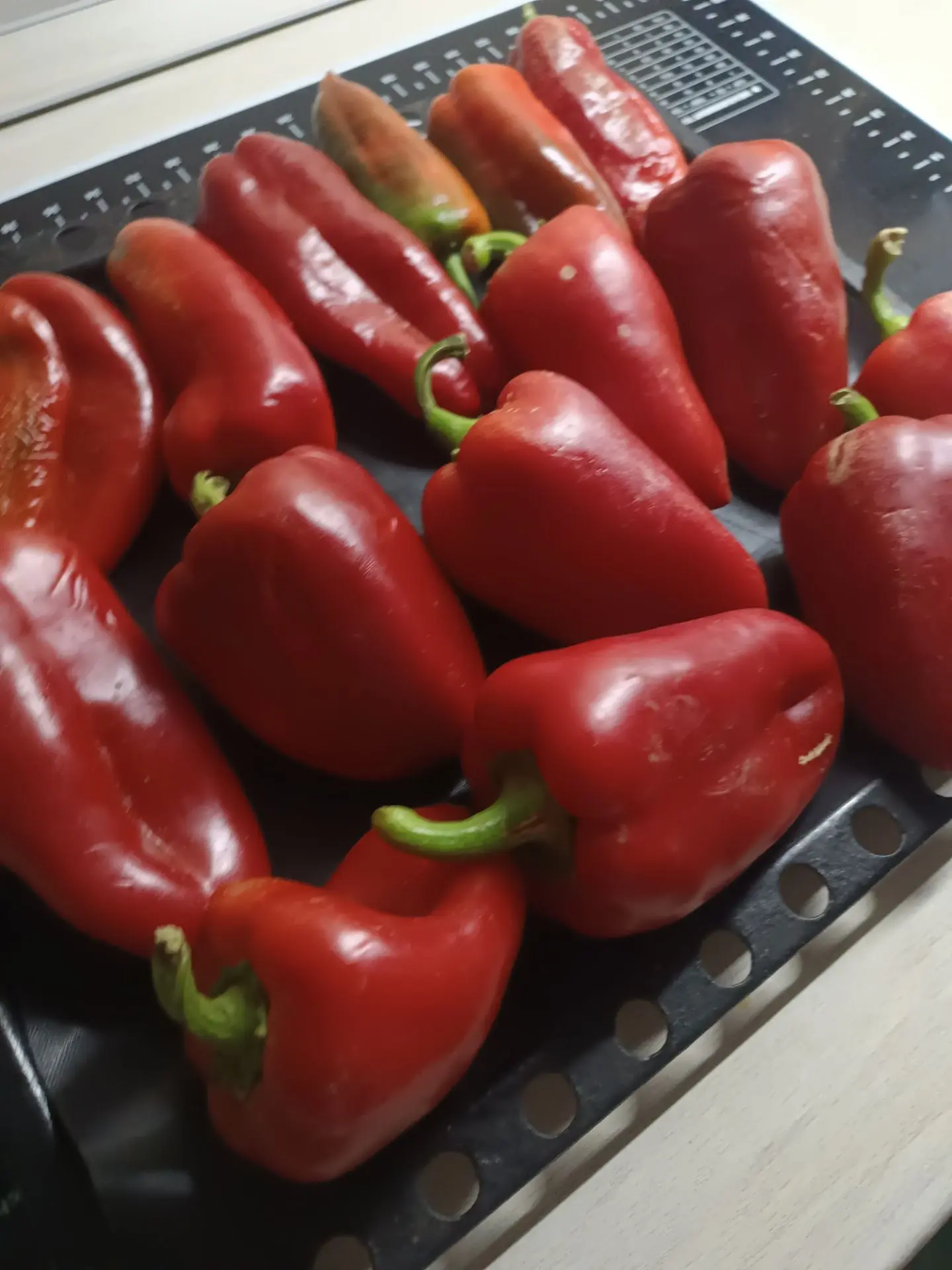 Очень вкусная закуска из печёных перцев.