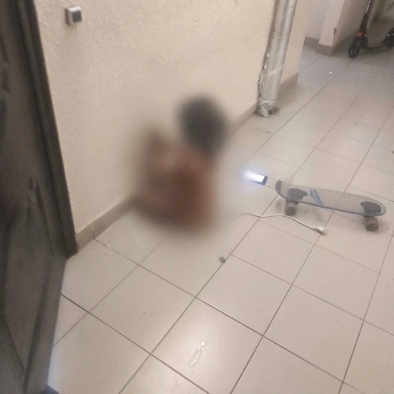 В Петербурге мать выставила голую маленькую дочь на лестничную клетку