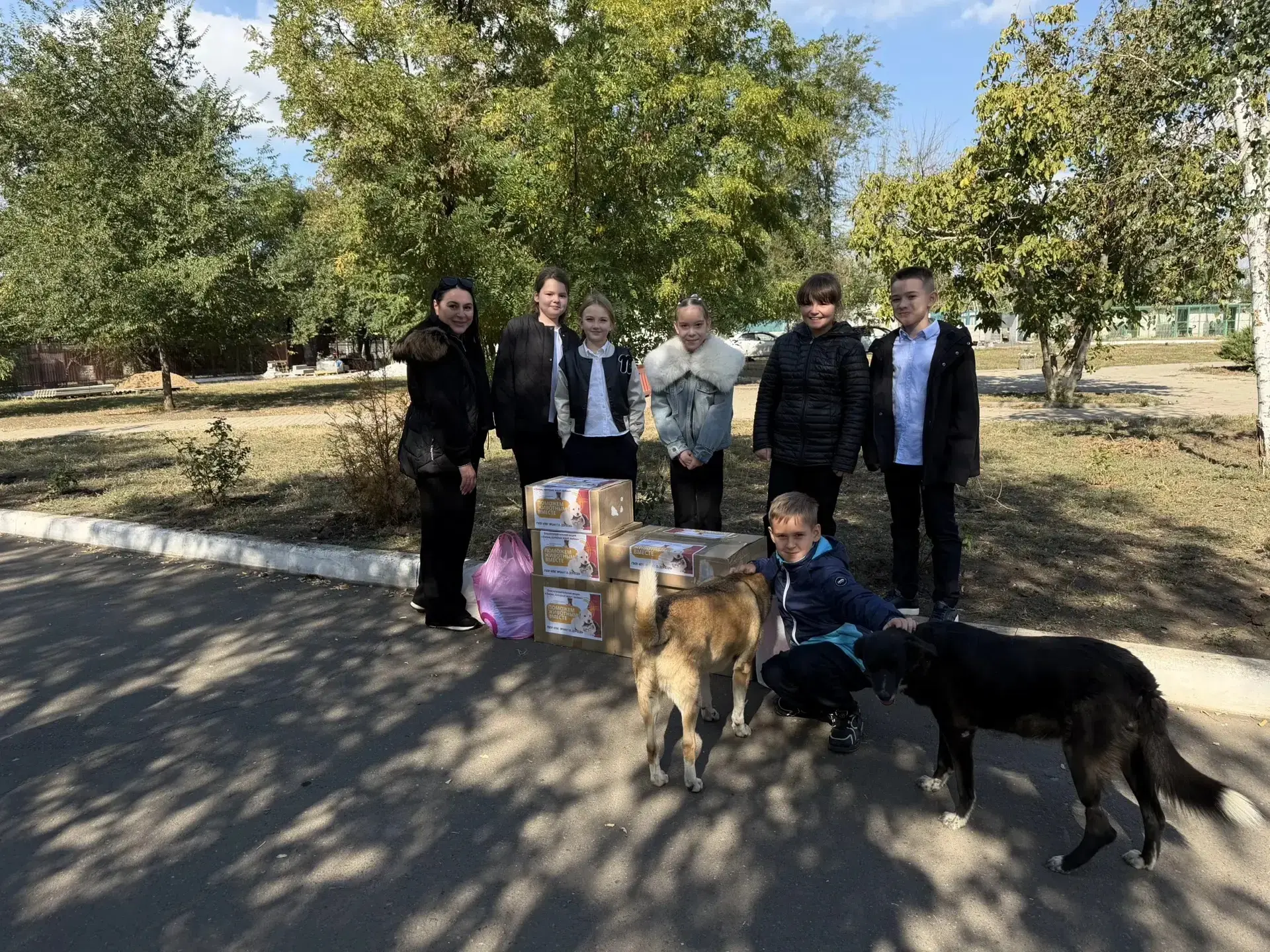 🐾🏠 Хвостики говорят «спасибо!»: ребята передали помощь в приют для животных «Пиф»! 🐶✨